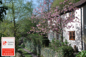 Spring Cottage Holiday Let in Wye Valley