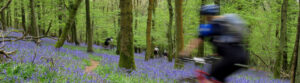 Cycling Wye Valley Holidays - Spring Cottage