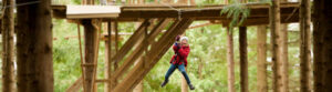 Go Ape - Adventures in Wye Valley