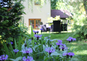 Wye Valley Holiday - Spring Cottage Gareden
