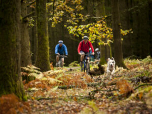 Cycling Holidays in the Wye Valley