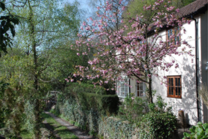 Spring cottage Wye Valley
